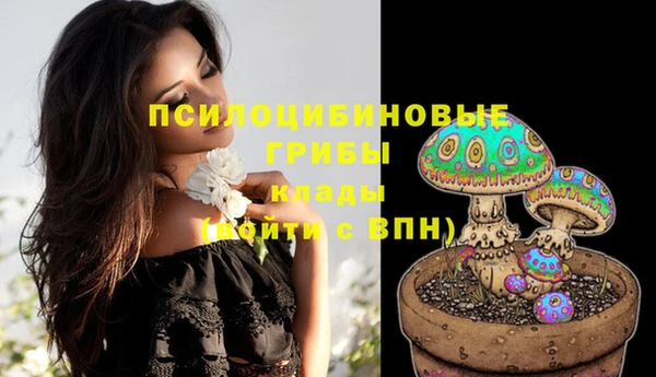круглые Осташков