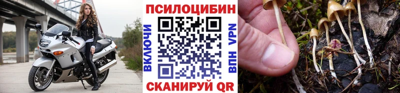 Купить закладки  Володарск  Галлюциногенные грибы MAGIC MUSHROOMS 
